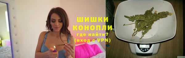 дмт Арсеньев