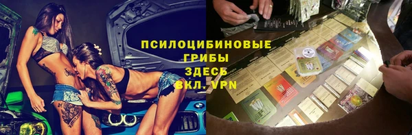 дмт Арсеньев