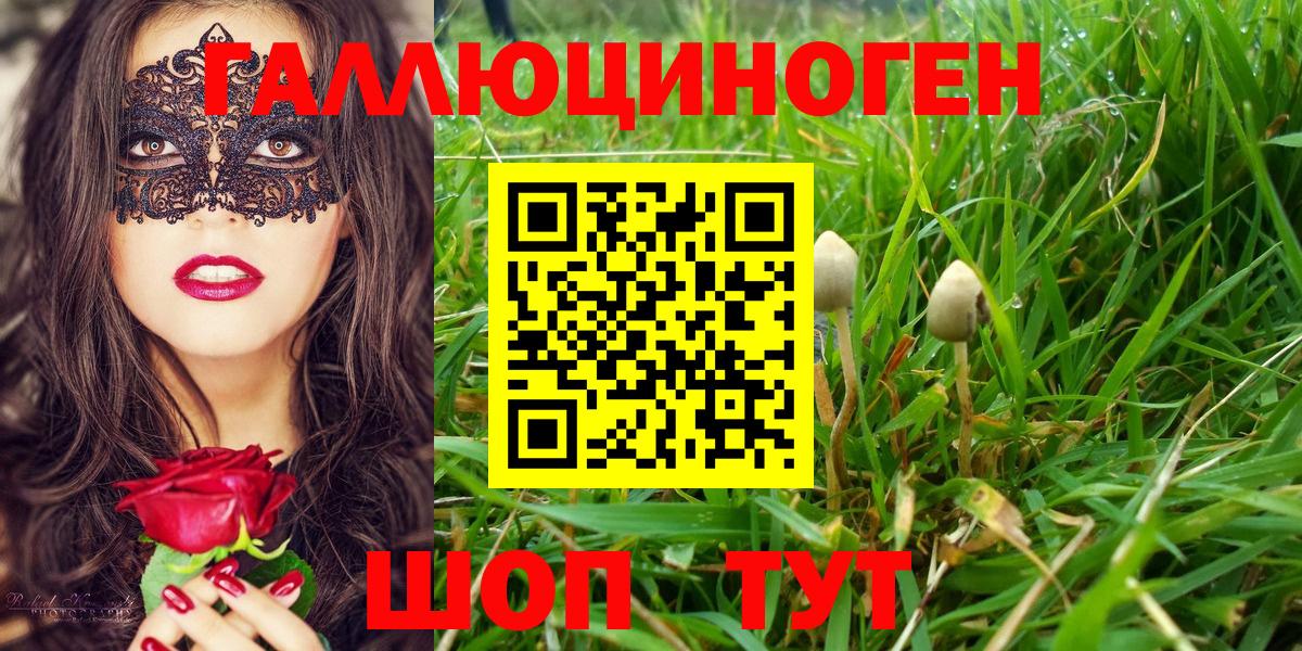 Ногинск  Галлюциногенные грибы прущие грибы  Вход с VPN 